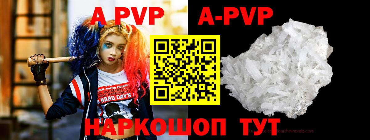 APVP СК Кондопога