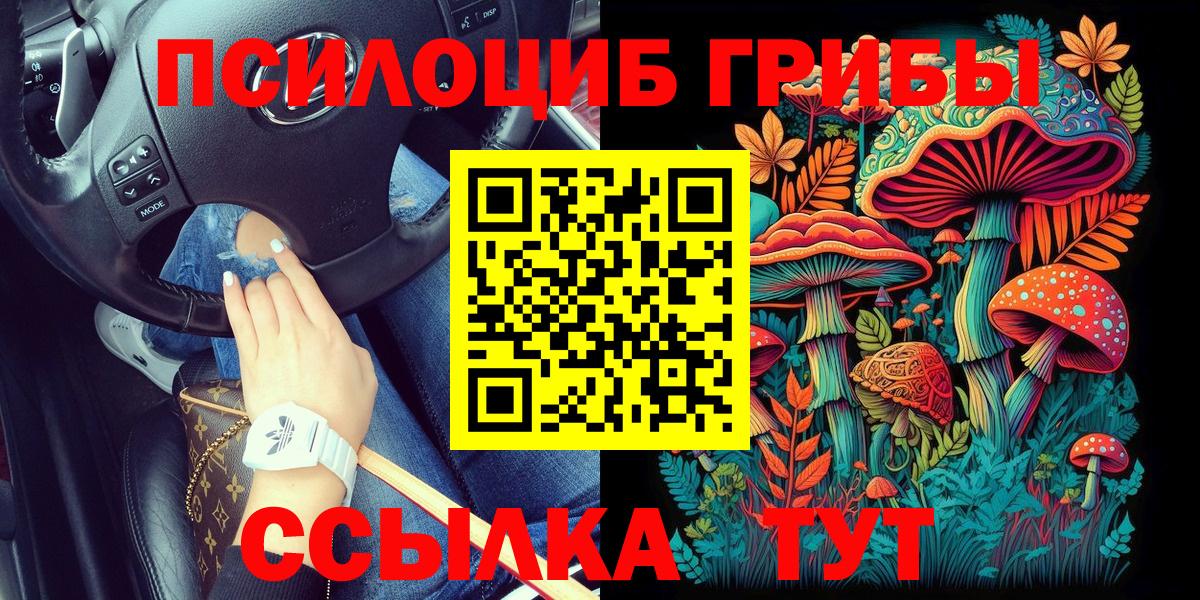 Псилоцибиновые грибы GOLDEN TEACHER Кондопога